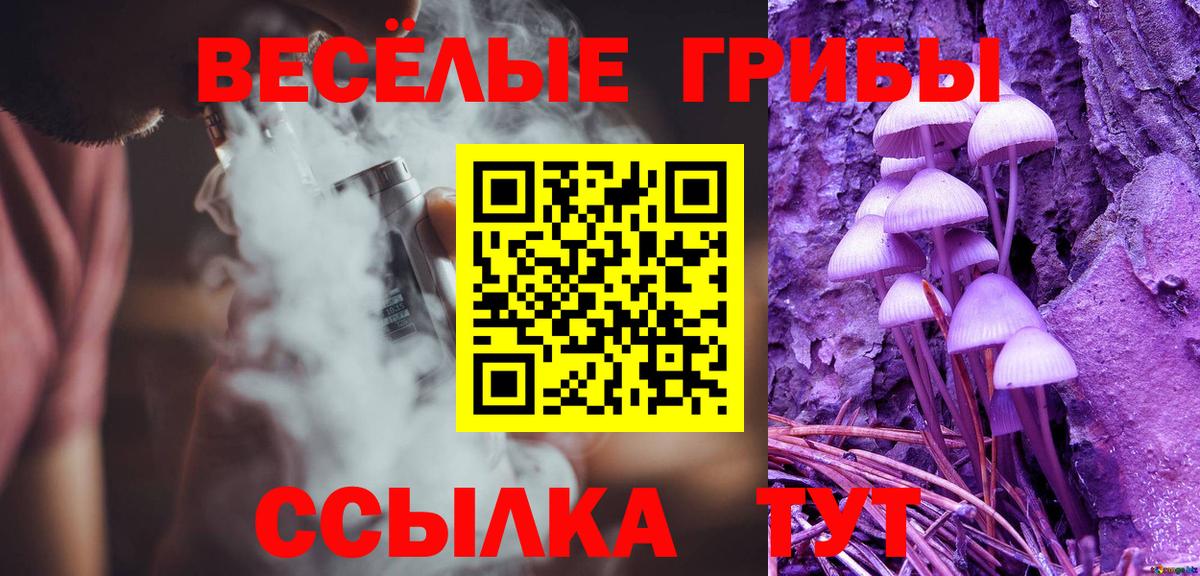 Псилоцибиновые грибы прущие грибы Лесной